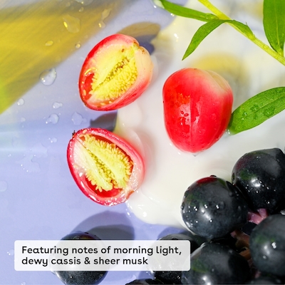 840044714248_enfr_06_400